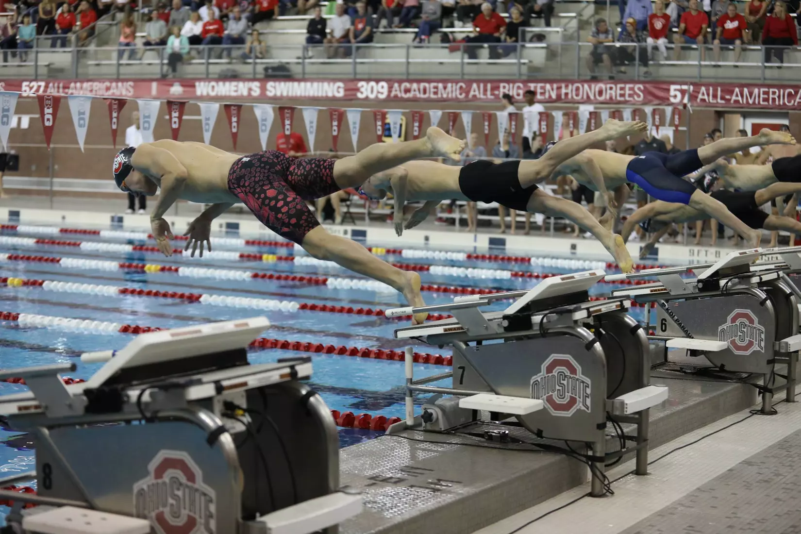 Gray Defeats Scarlet in Annual Meet