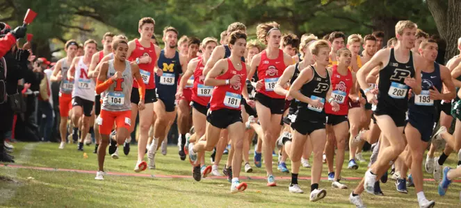 Ohio State Travels to Wisconsin for Regional Meet