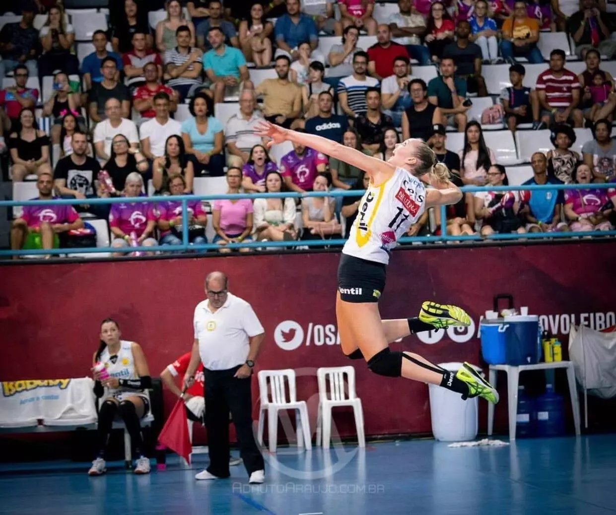 Nicole Fawcett Hired as Volunteer Assistant Coach