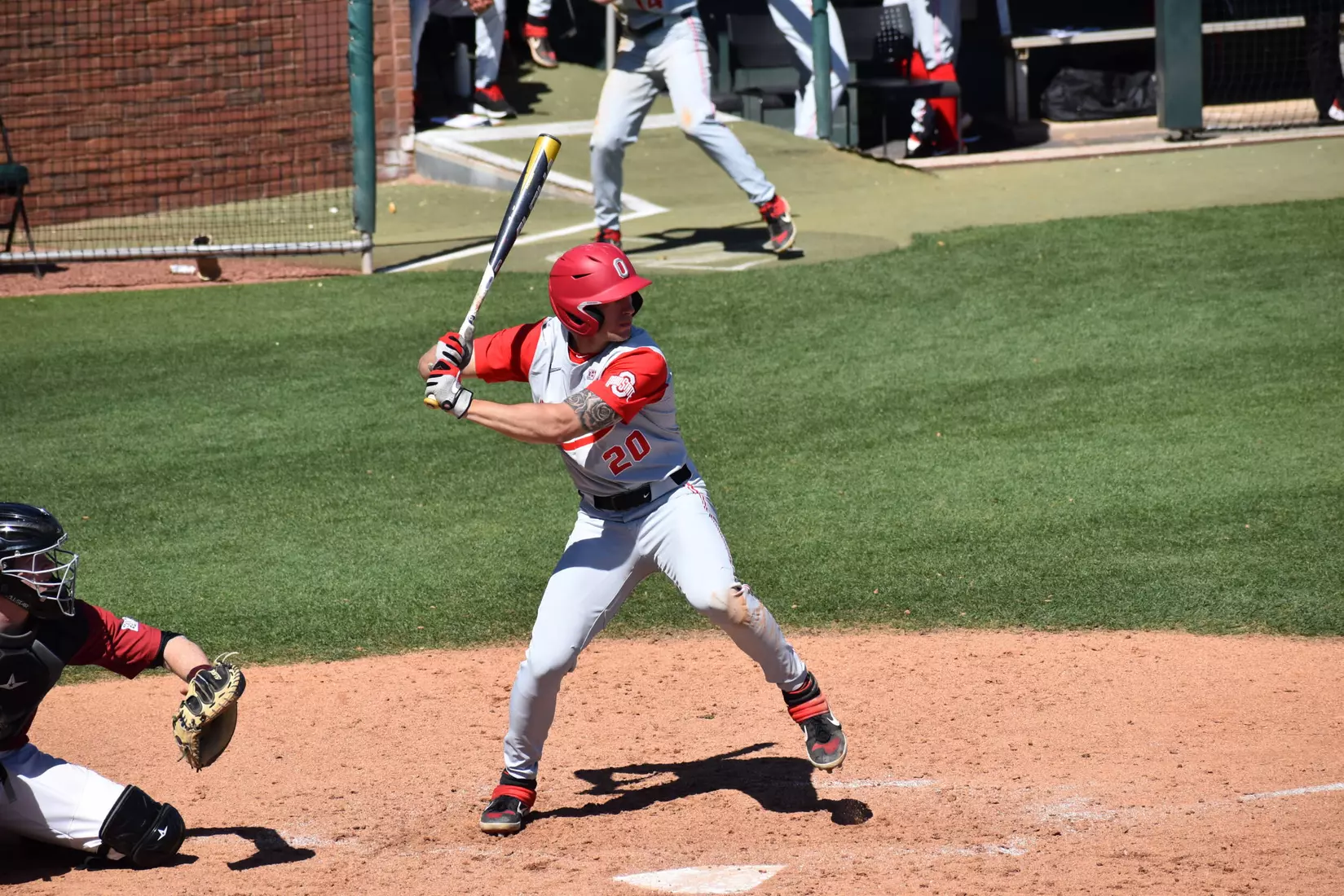 Burhenn Cruises, Buckeye Bats Break Out in 13-1 Win over Harvard