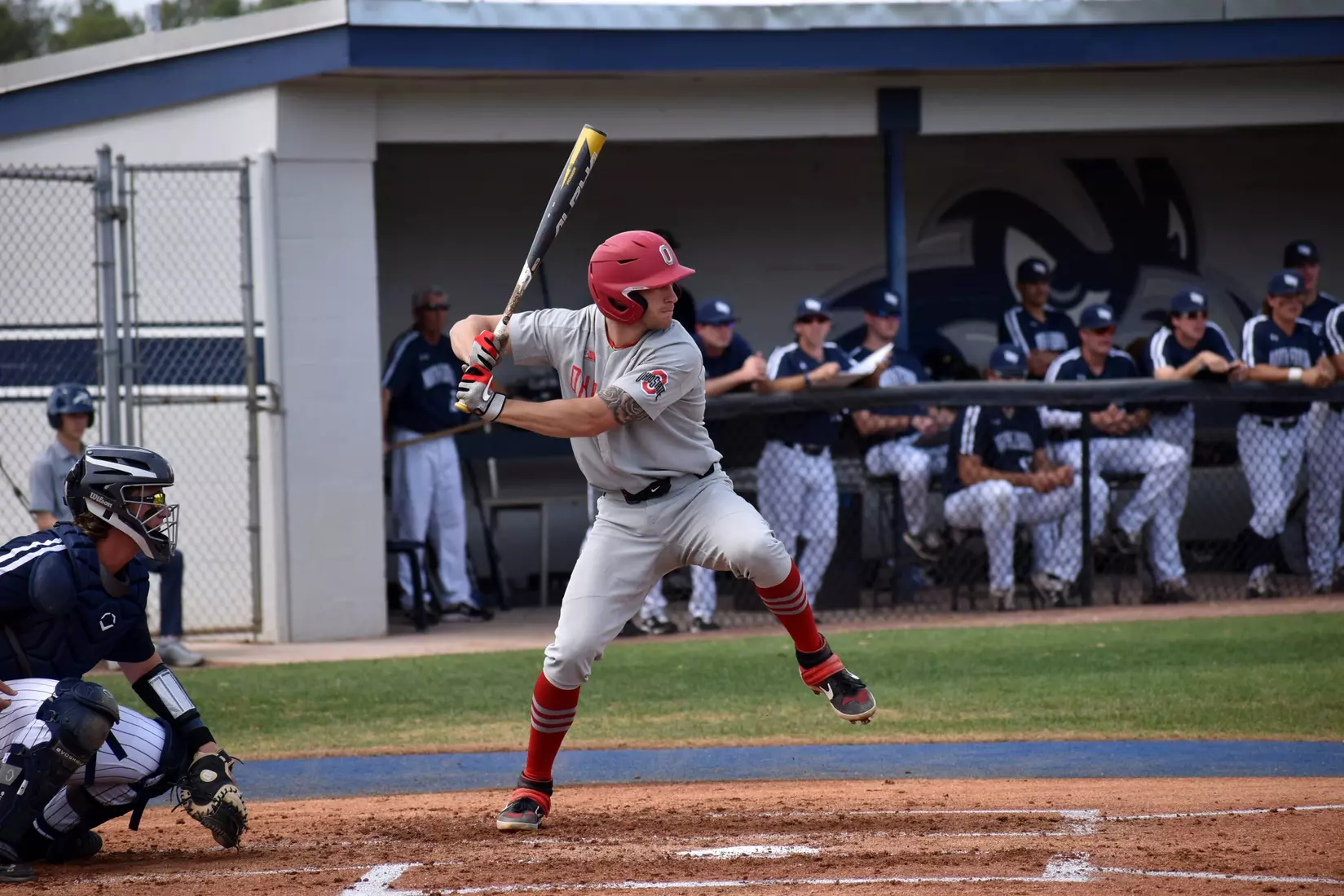 Buckeyes Drop Florida Finale, 9-5, to Ospreys