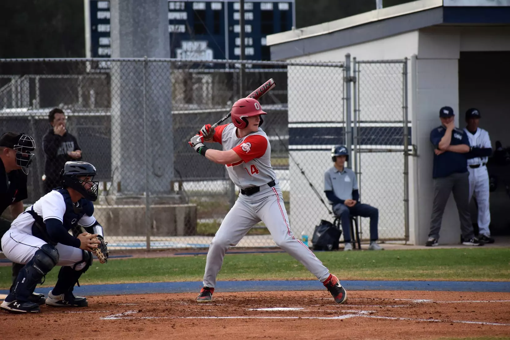 Buckeyes Drop Florida Finale, 9-5, to Ospreys