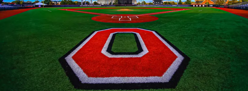 Buckeyes and Wolverines Play for the Series Sunday