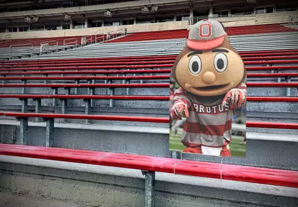?? Stand Out in Ohio Stadium this Year