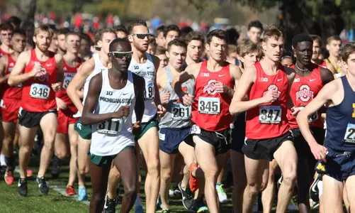 Cross Country Teams Head to Big Ten Conference Championships