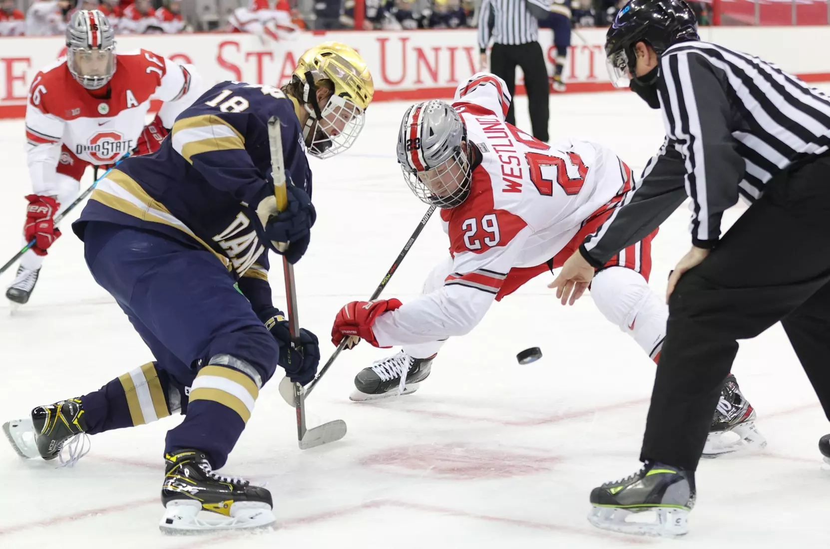 Buckeyes Close Regular Season Series vs. Notre Dame with Loss