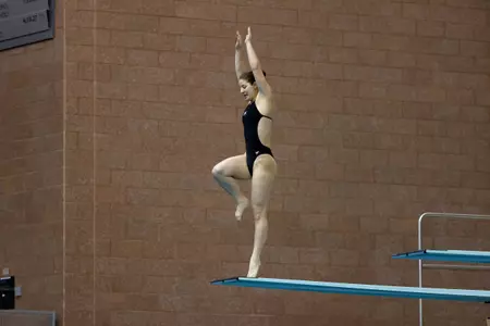Divers in Lexington at NCAA Zone C Championships