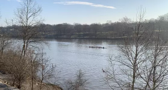 Buckeyes Win Eight Races Saturday