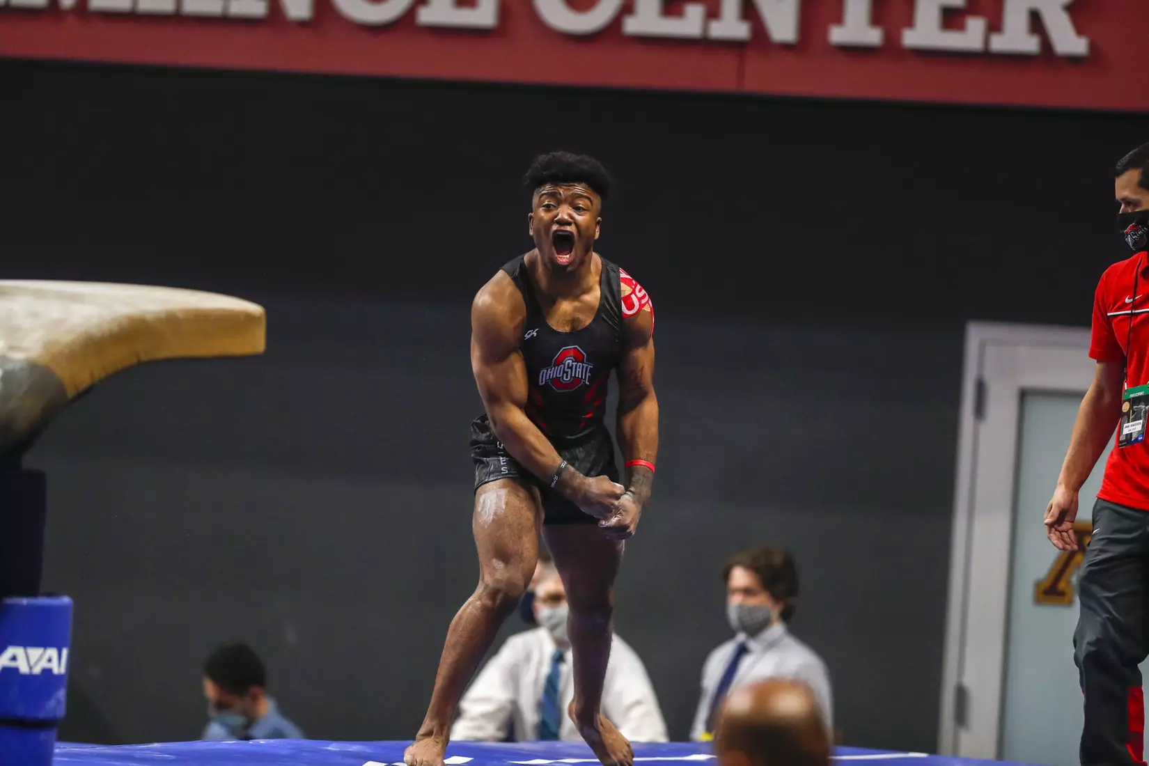 Multiple Buckeyes Qualify for Individual NCAA Championships