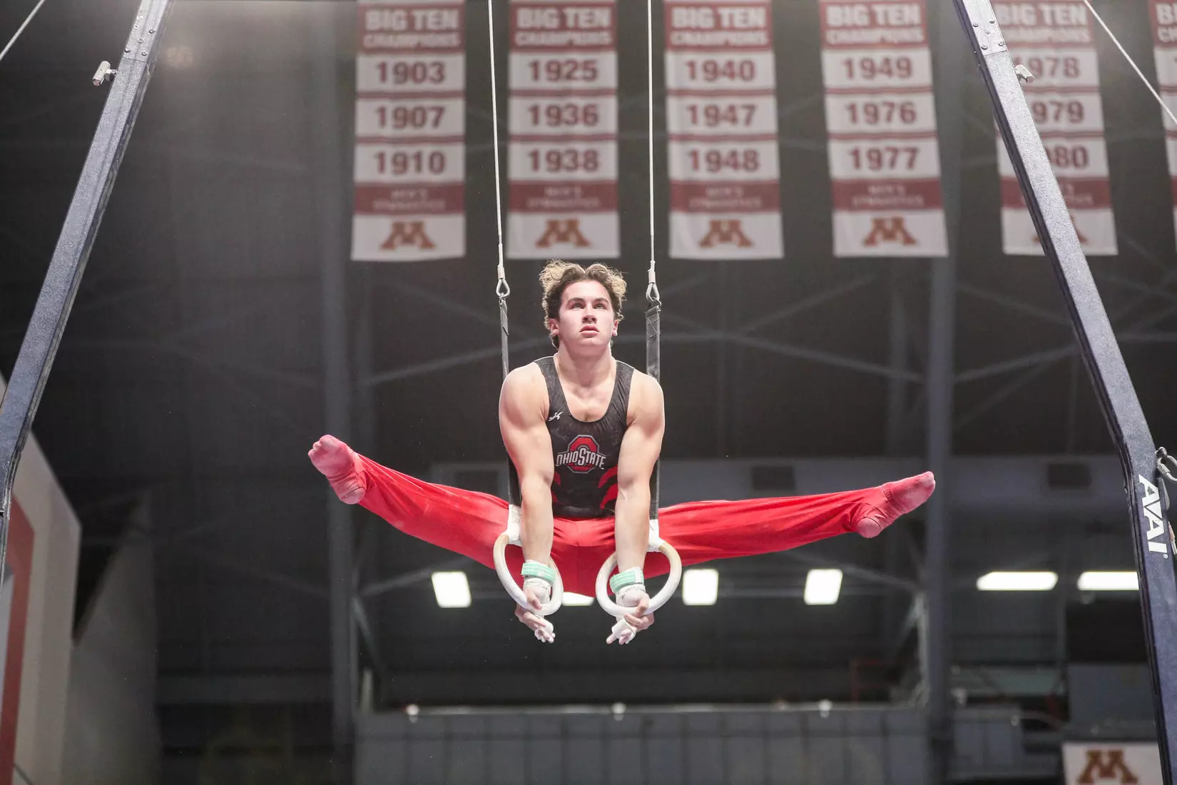 Multiple Buckeyes Qualify for Individual NCAA Championships