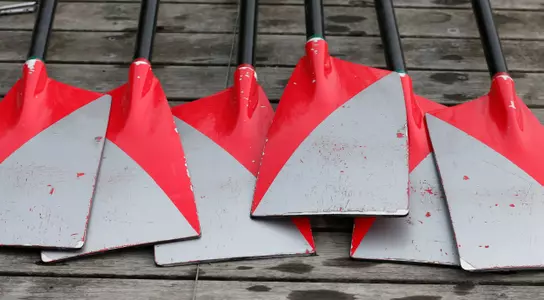 Six Buckeye Rowers Headed to Tokyo