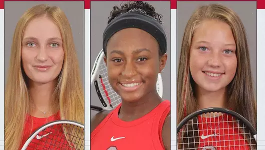 Meet the Buckeye Newcomers