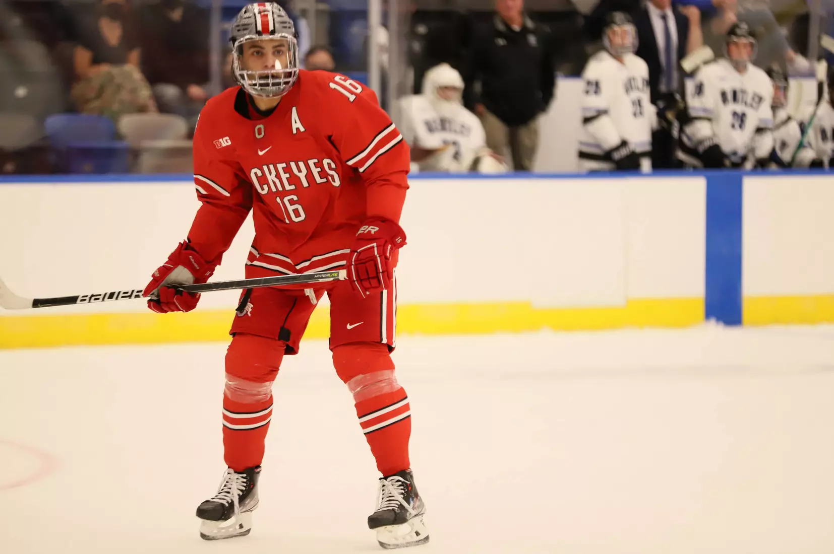 Four Named Captains for Men’s Hockey Buckeyes