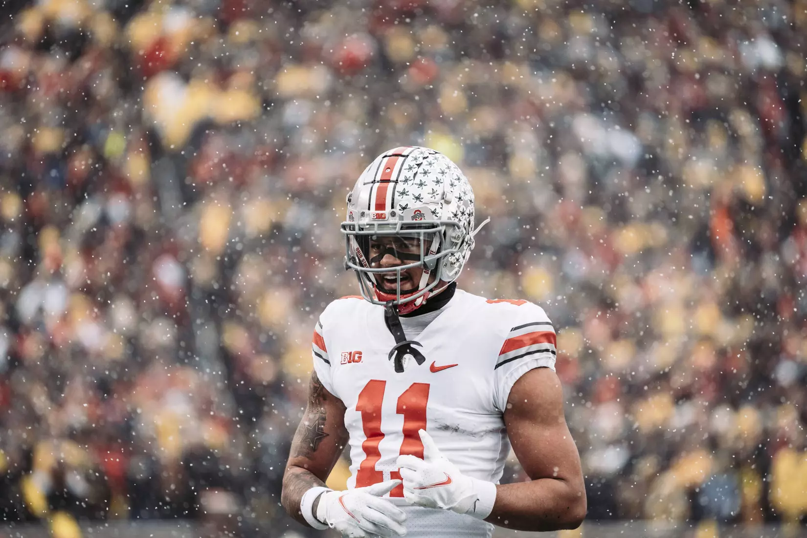 Buckeyes Fall in Ann Arbor