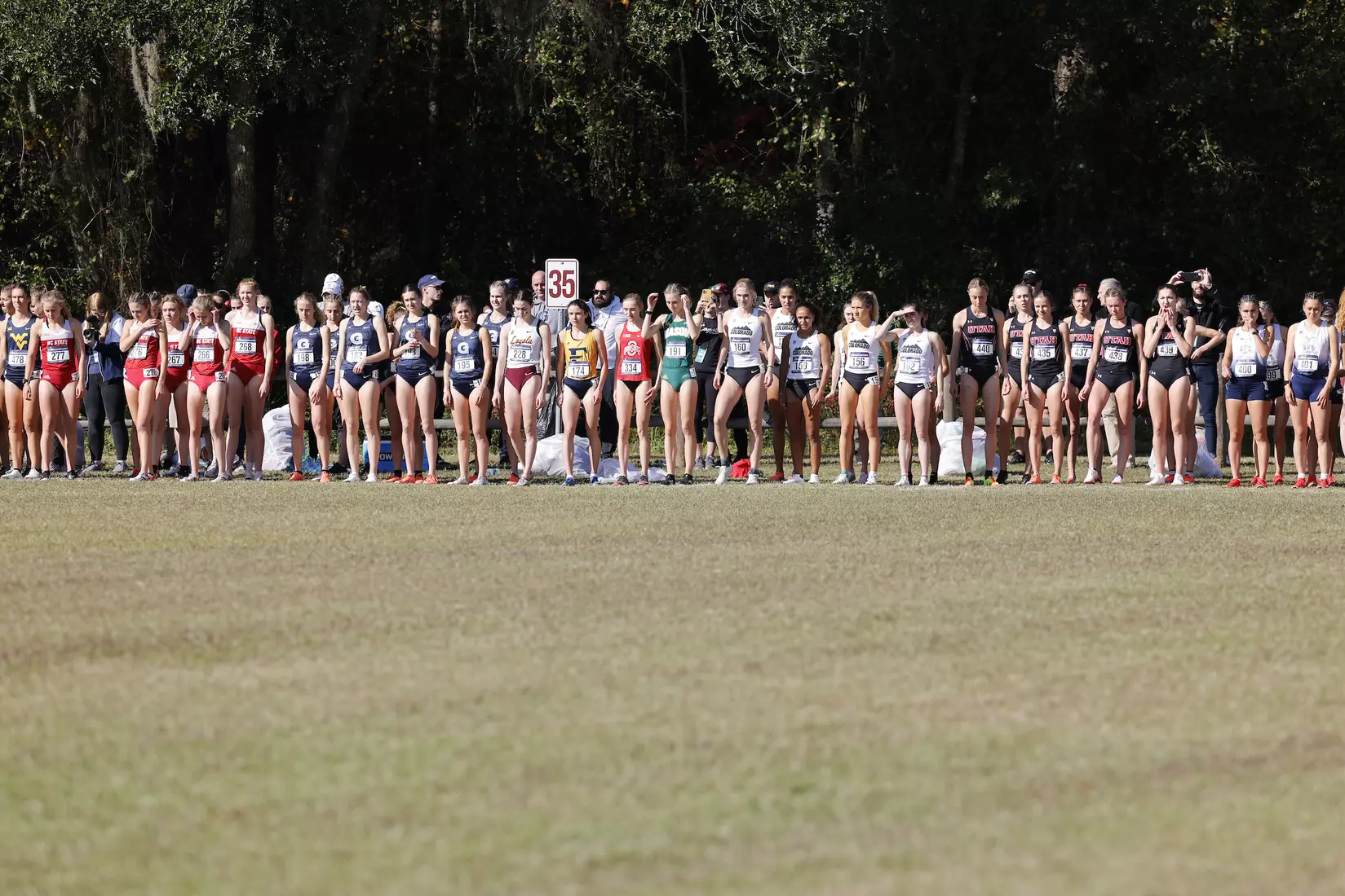 Engel Runs at NCAA Championships