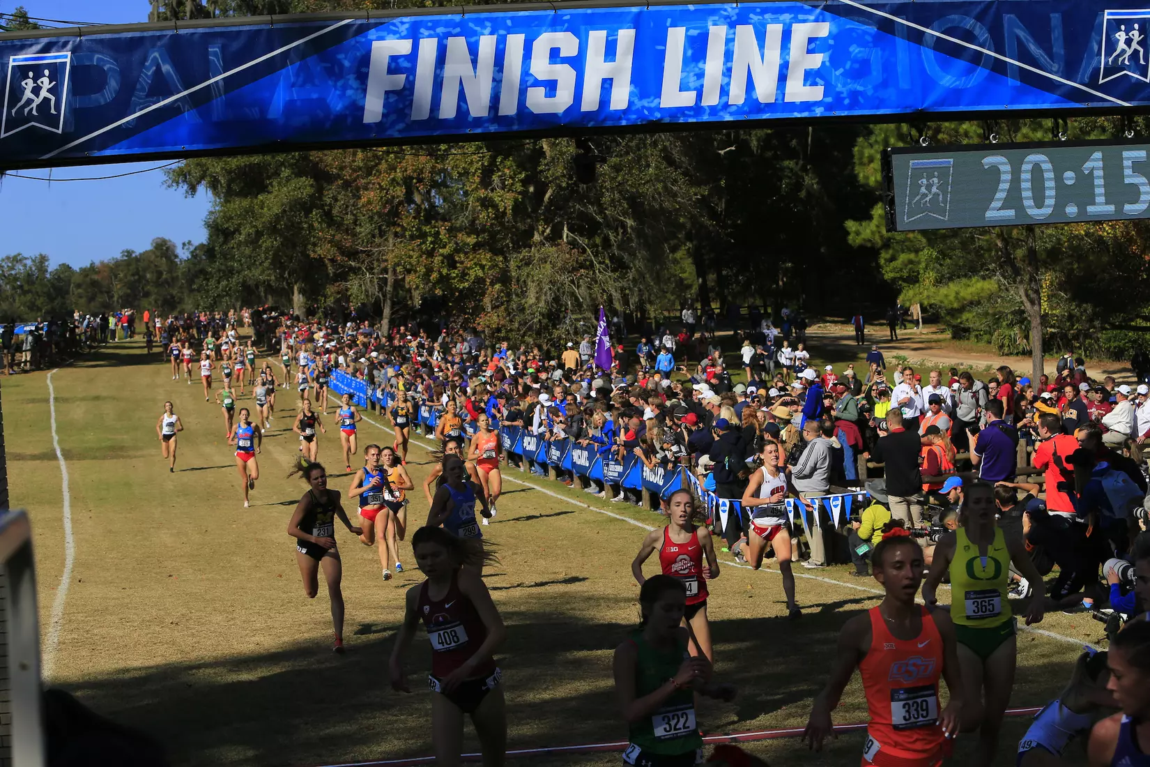 Engel Runs at NCAA Championships