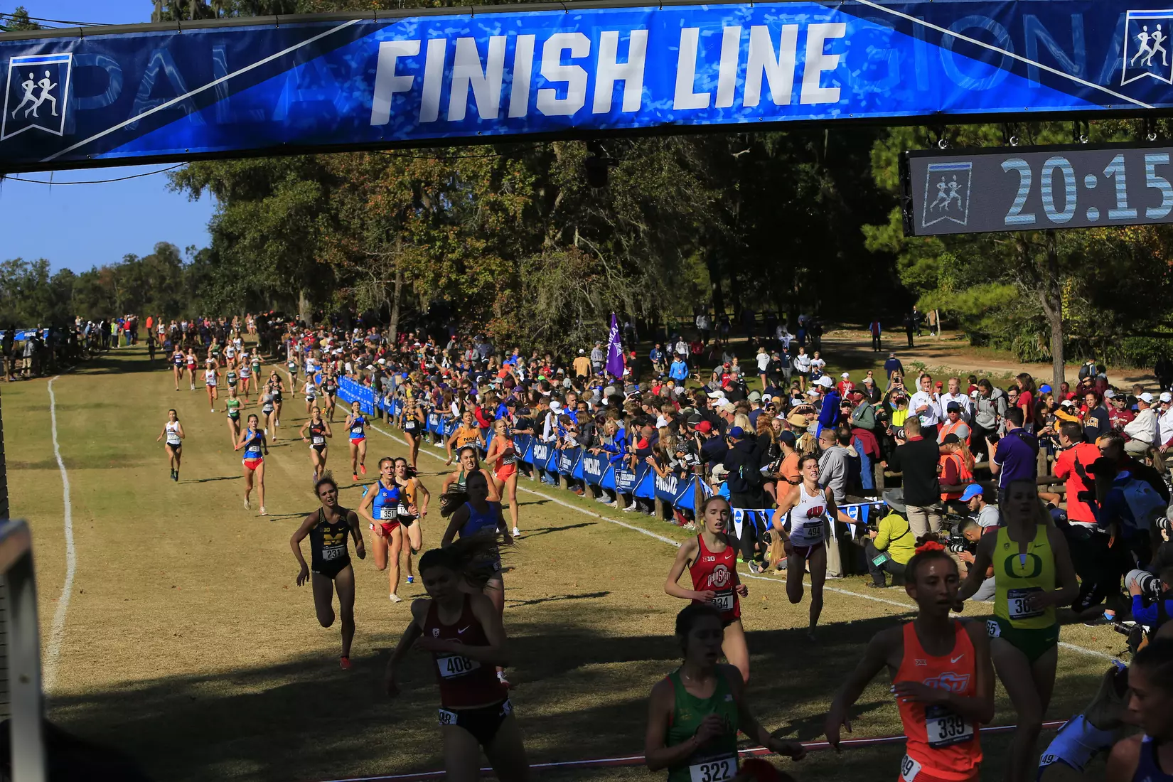 Engel Runs at NCAA Championships