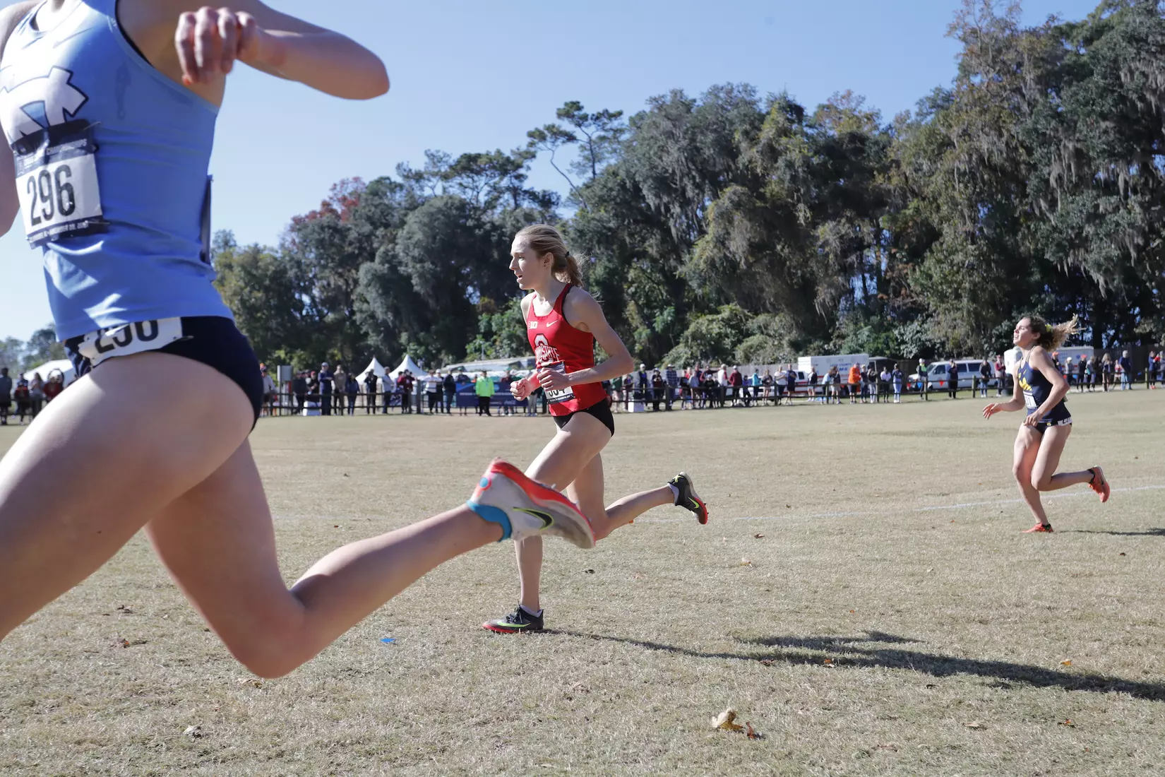 Engel Runs at NCAA Championships