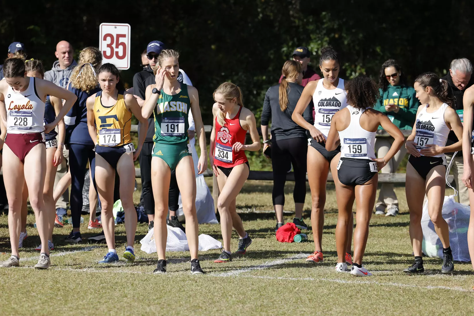 Engel Runs at NCAA Championships