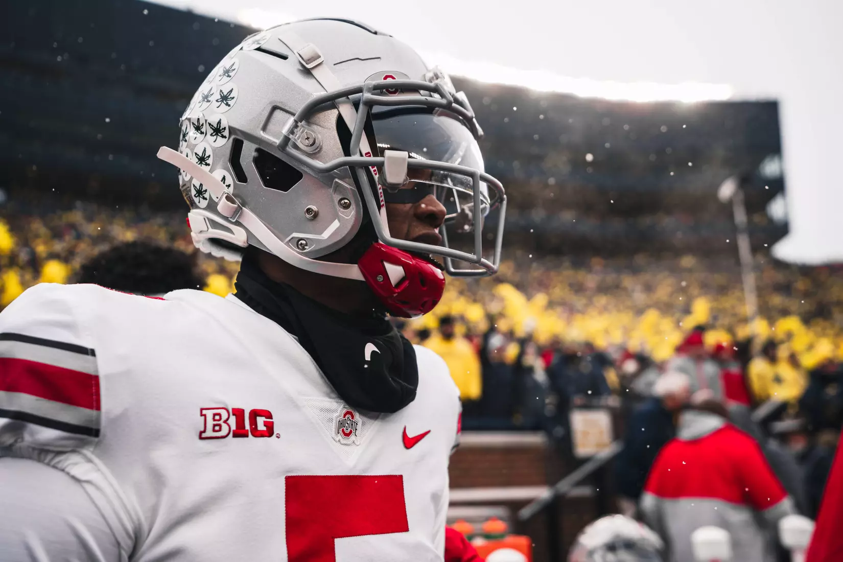 Buckeyes Fall in Ann Arbor