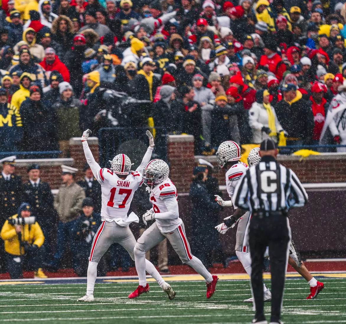 Buckeyes Fall in Ann Arbor