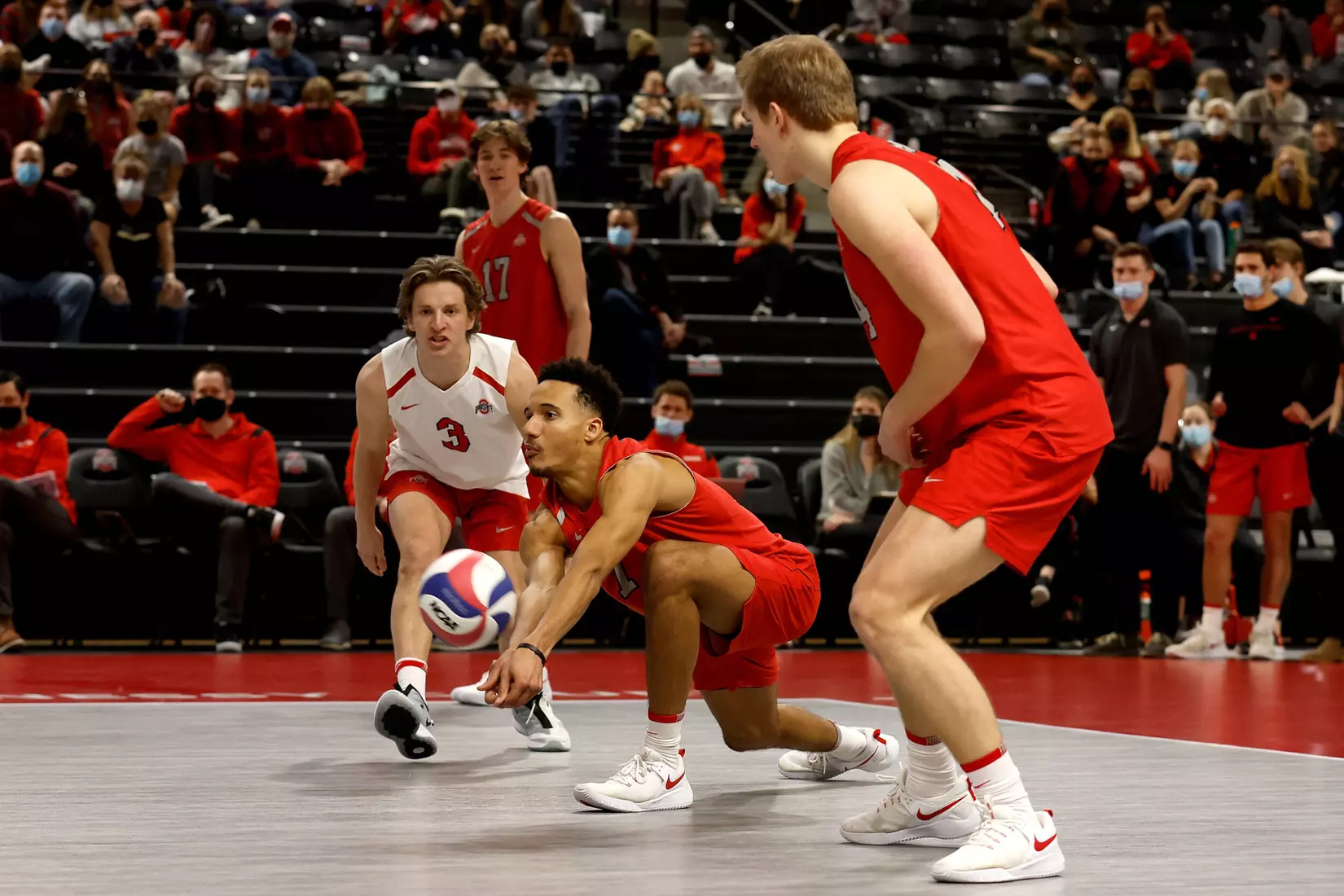 No. 14 Buckeyes Earn First MIVA Win, 3-0, vs. Mastodons