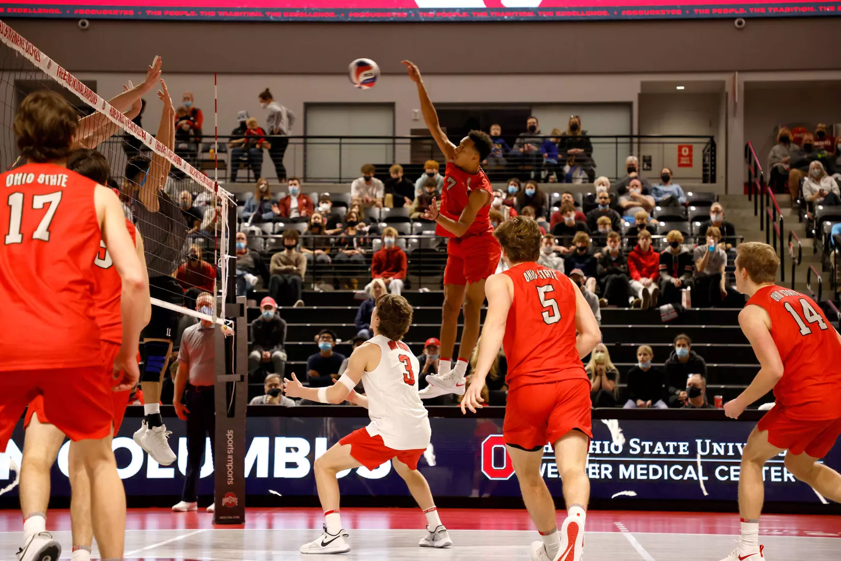 No. 14 Buckeyes Earn First MIVA Win, 3-0, vs. Mastodons