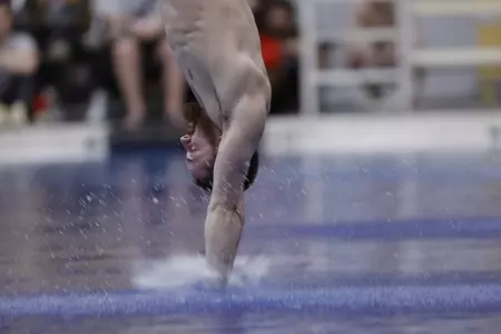 Buckeye Divers Headed to NCAA Zone Championships