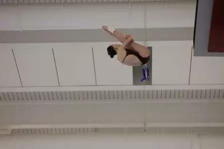 Ohio State Qualifies Two More Divers for NCAA Championships