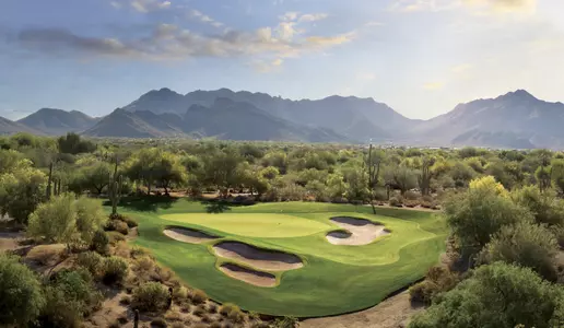 NCAA Championship at Grayhawk is Final Stop for Buckeyes