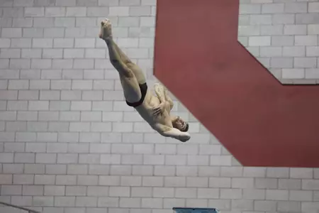 OSU Divers Set For Winter Nationals