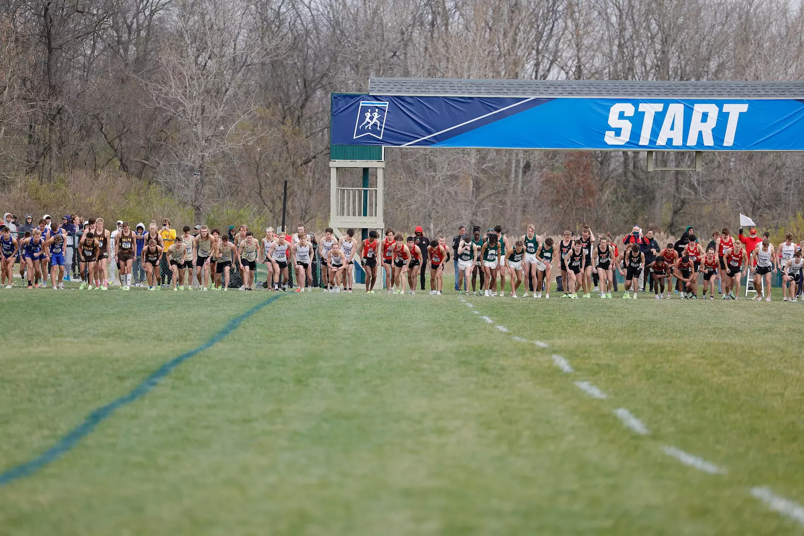 Buckeyes Run at NCAA Great Lakes Regional