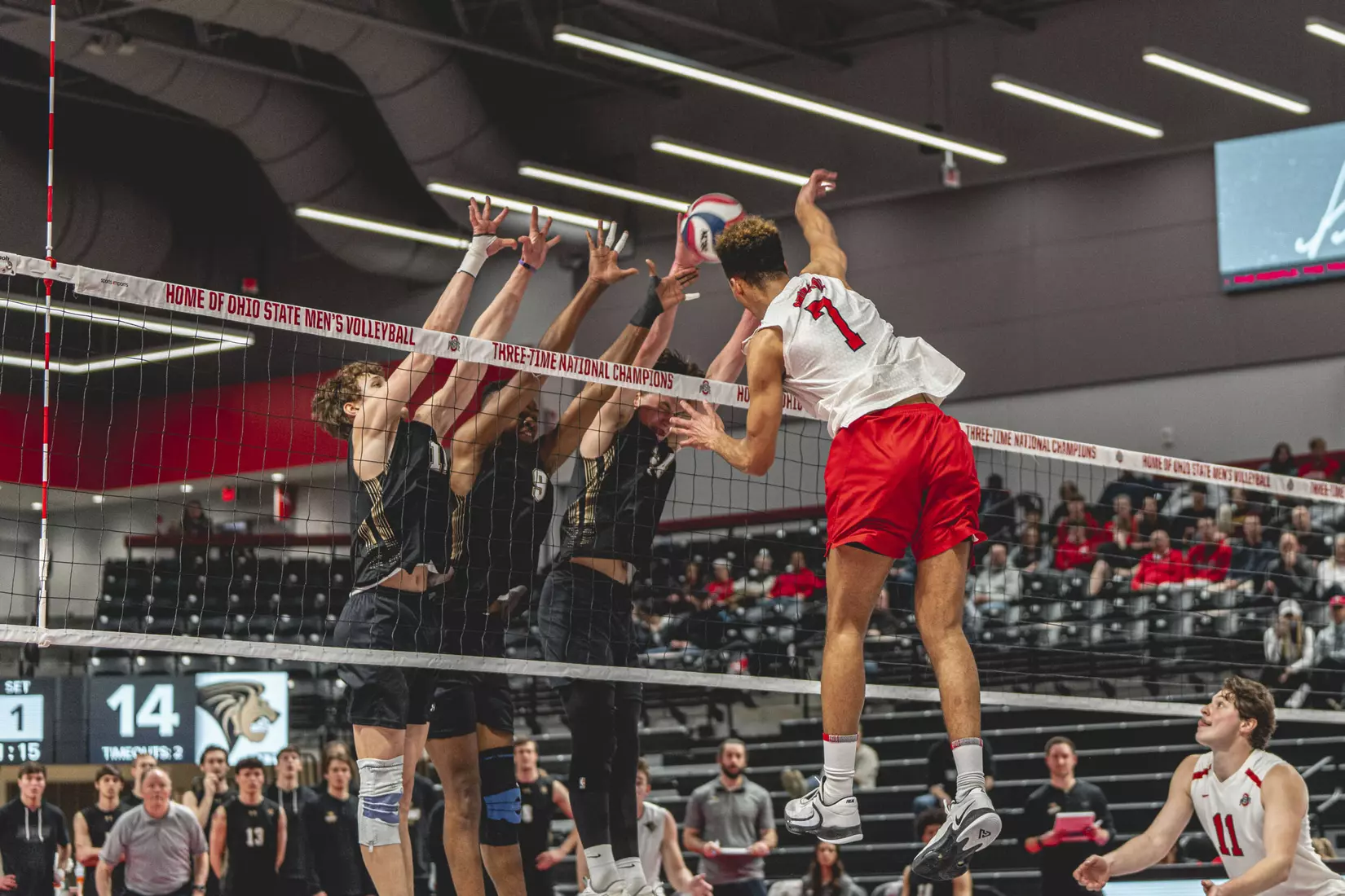 No. 15 Buckeyes Earns 3-1 Win Over Lindenwood