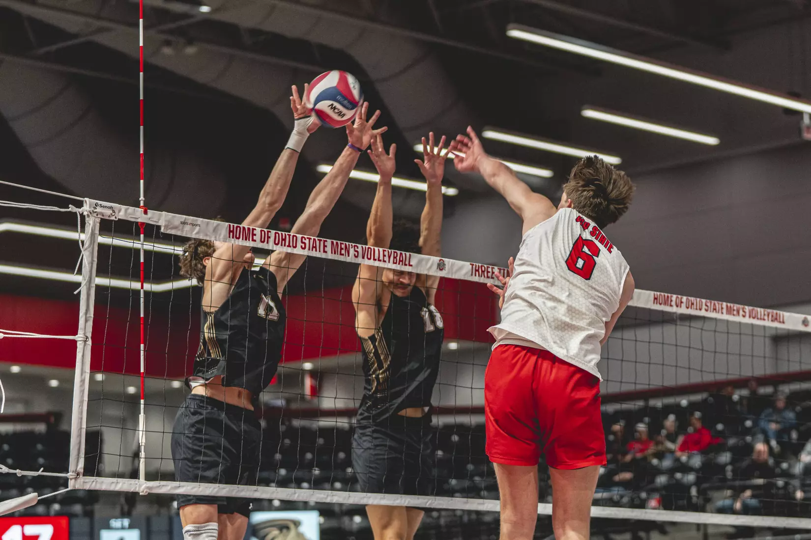 No. 15 Buckeyes Earns 3-1 Win Over Lindenwood