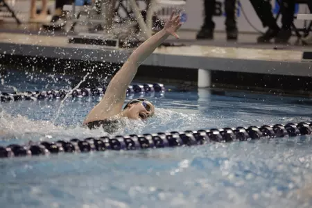 Women’s Swimming & Diving Competes at NCAA Championships This Week