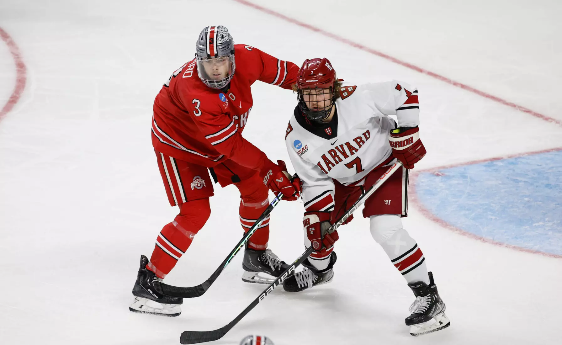 Ohio State Outstanding in 8-1 Win Over Harvard