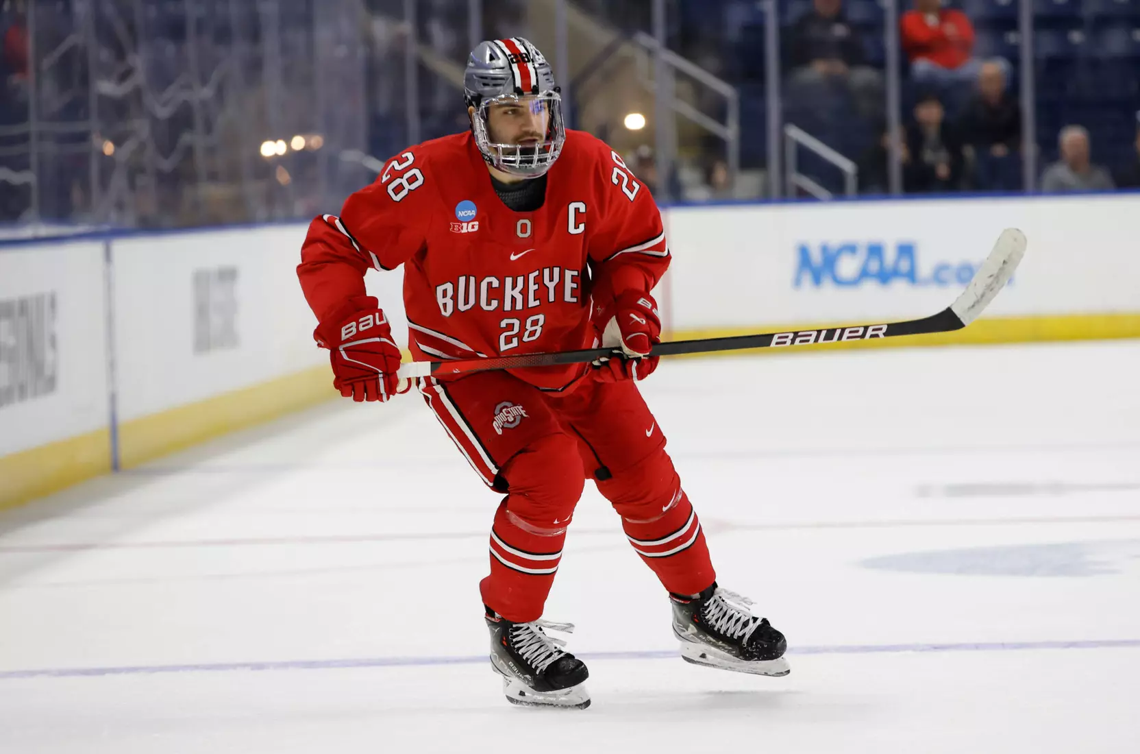 Wise Signs with AHL Charlotte Checkers