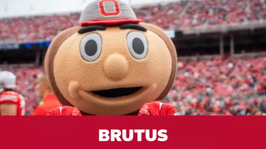 Brutus Buckeye