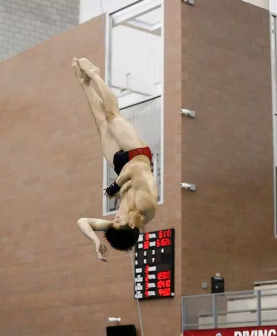 Swim and Dive