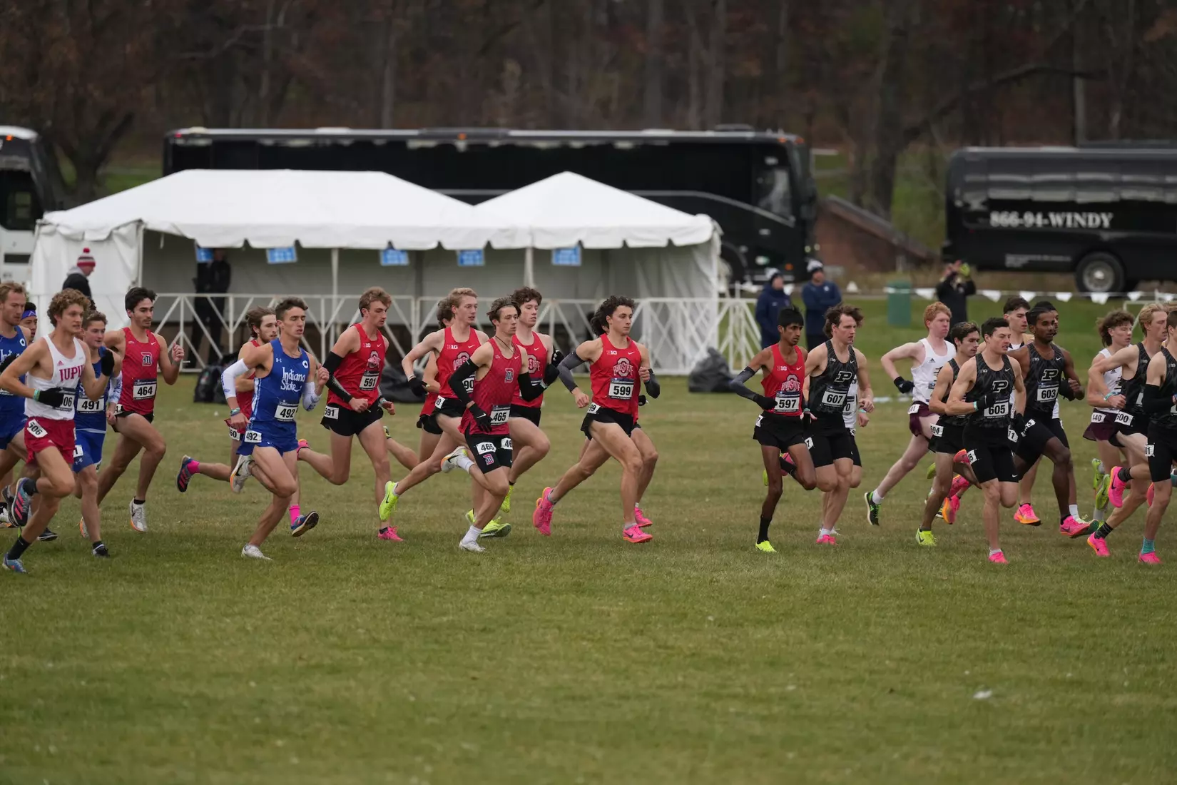 Ohio State Cross Country at Great Lakes Regional 11/10/23