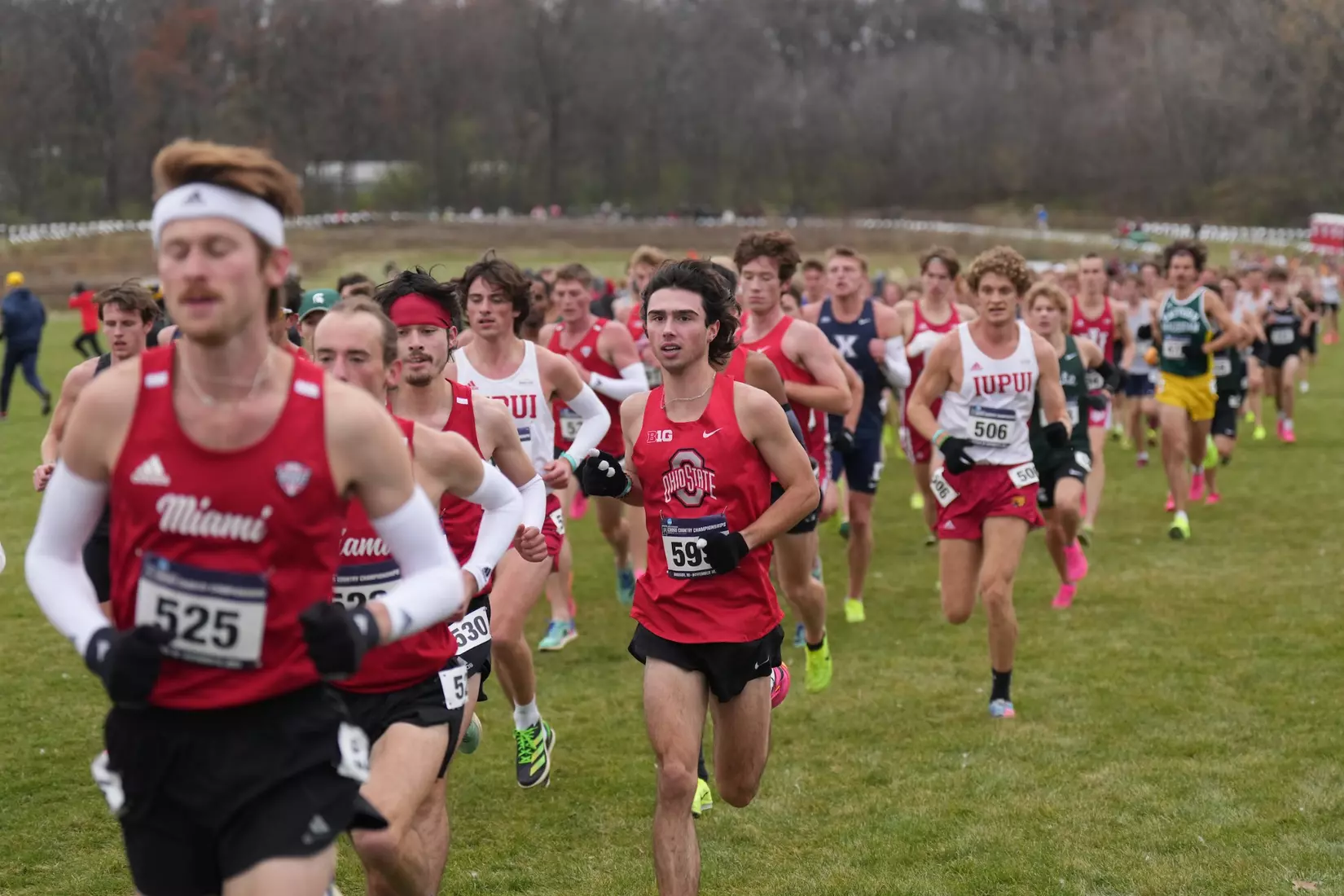 Ohio State Cross Country at Great Lakes Regional 11/10/23