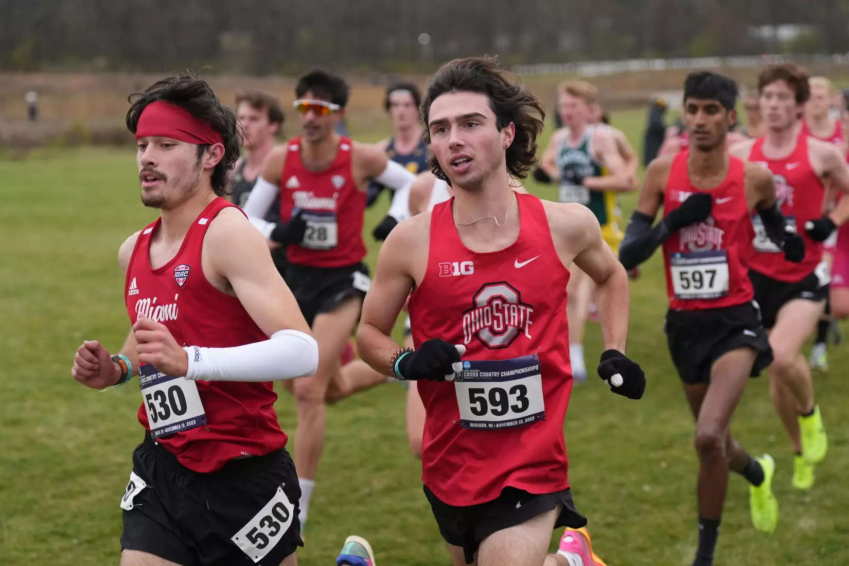 Ohio State Cross Country at Great Lakes Regional 11/10/23