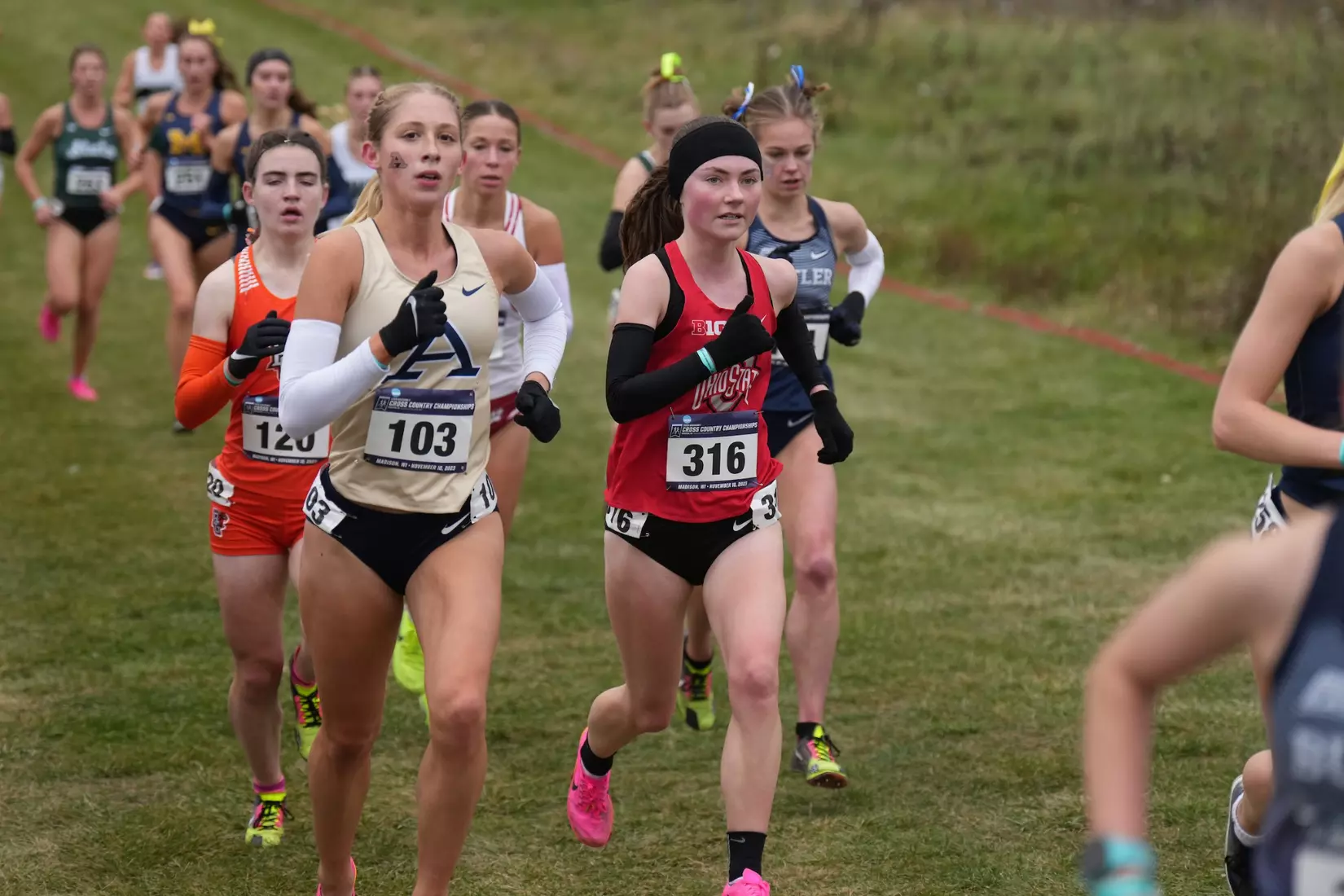 Ohio State Cross Country at Great Lakes Regional 11/10/23