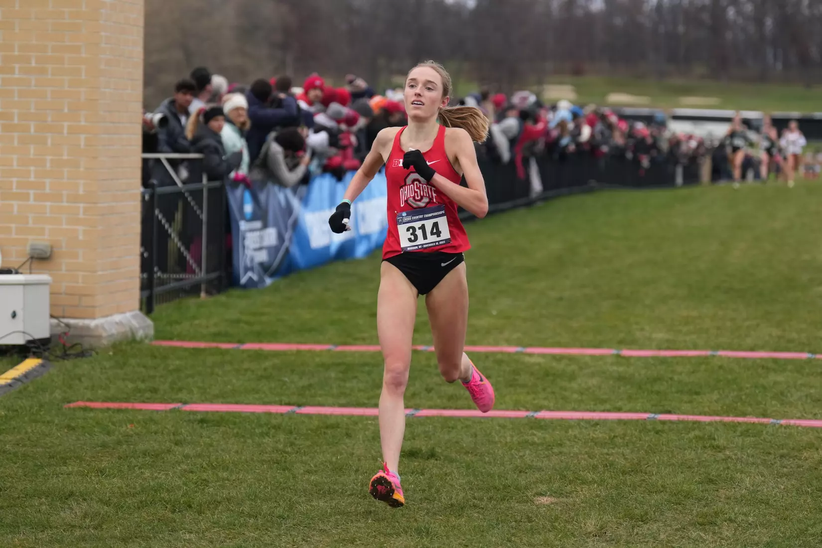 Ohio State Cross Country at Great Lakes Regional 11/10/23