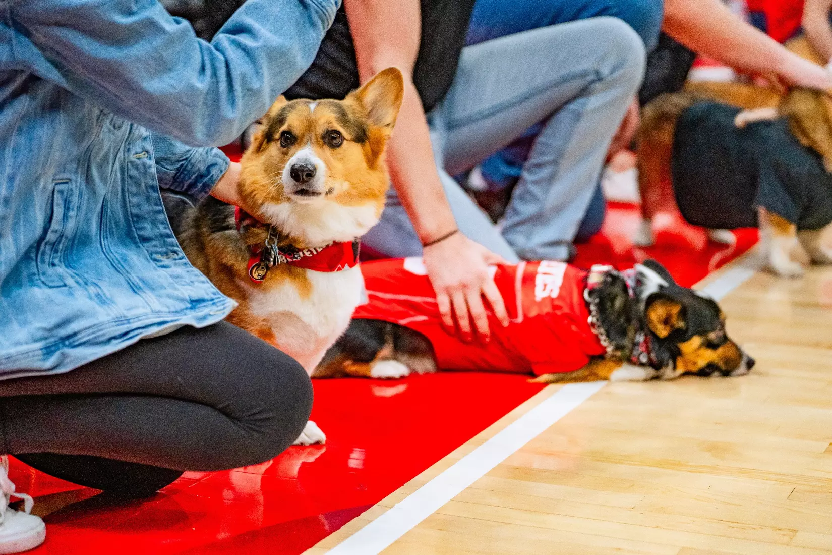 Ohio State Men’s Basketball vs Texas A&M on Friday Nov.10