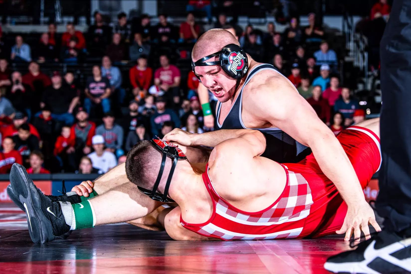 Wrestling vs Edinboro 11/12/23
