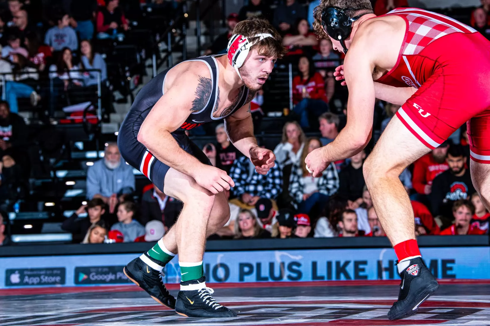 Wrestling vs Edinboro 11/12/23