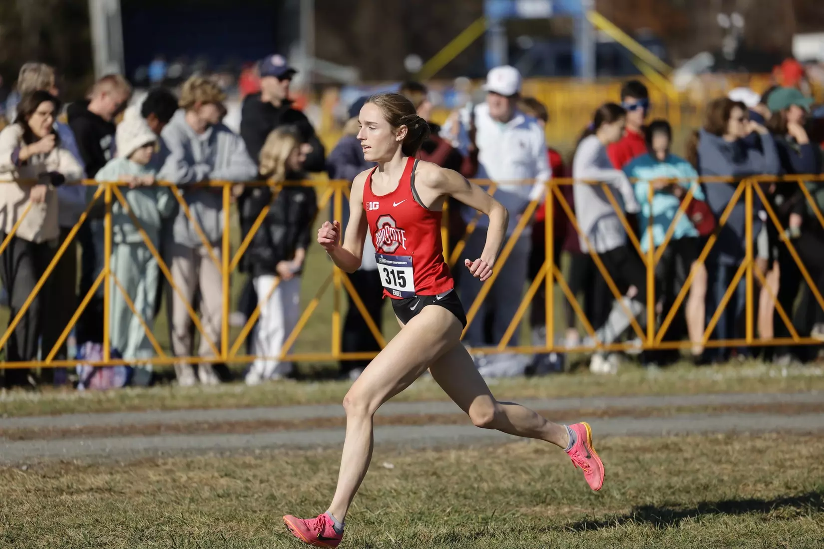 The Ohio State University cross country team compete at the 2023 NCAA Championships. November 18th, 2023 (Photo by: Walt Middleton Photography)