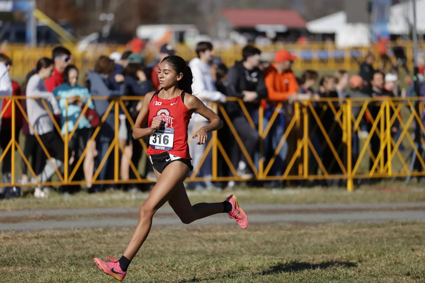 Ohio State Cross Country NCAA Championships 11/18/23