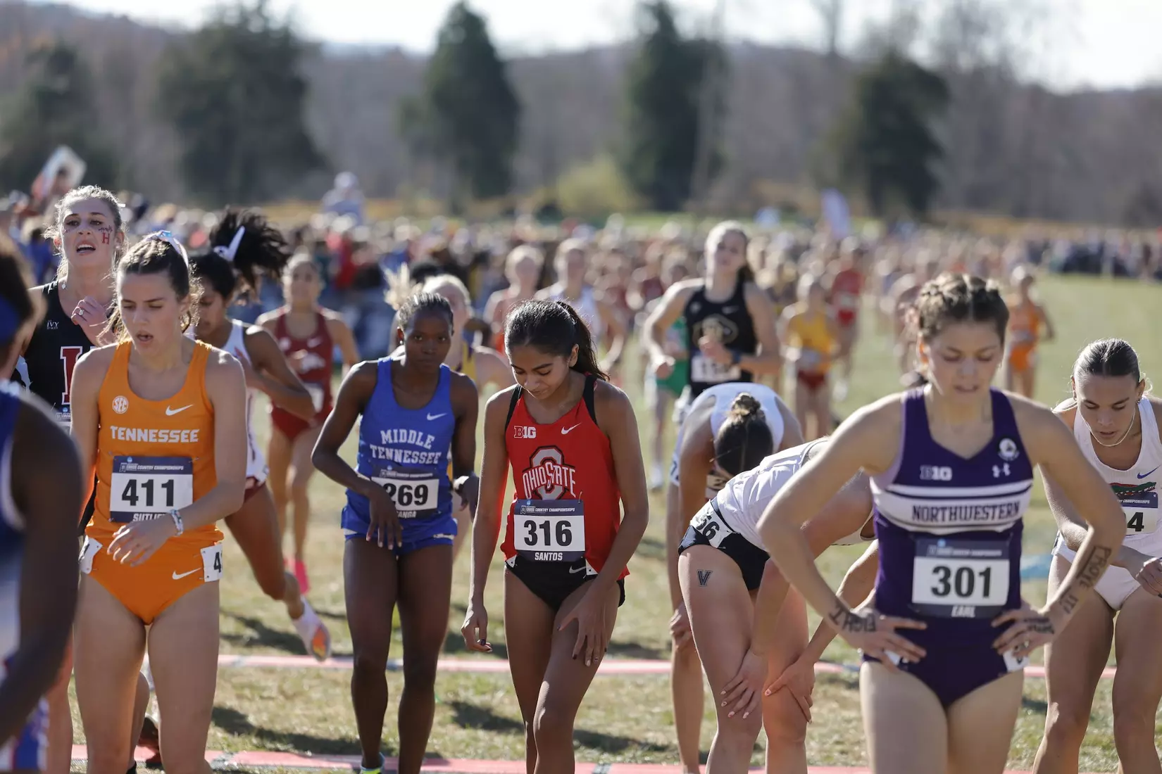 Ohio State Cross Country NCAA Championships 11/18/23